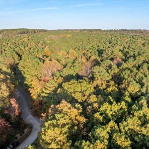 10-DJI_20241031124712_0373_D