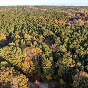 15-DJI_20241031125017_0398_D