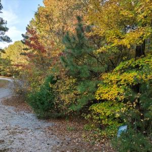 17-DJI_20241031125109_0406_D