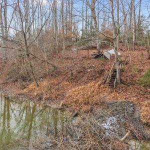 29-web-or-mls-DJI_20251210235116_0008_D