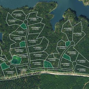 Bartley Point Satellite overview Image