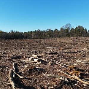 dji_fly_20251114_083230_0989_17631276616