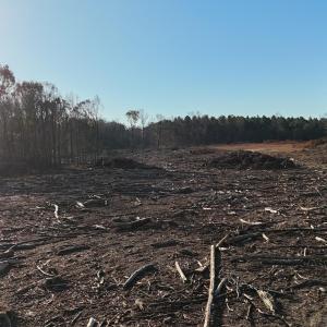 dji_fly_20251114_083236_0990_17631276612