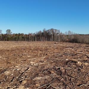 dji_fly_20251114_083254_0991_17631276609