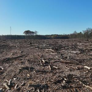 dji_fly_20251114_083342_0992_17631276606