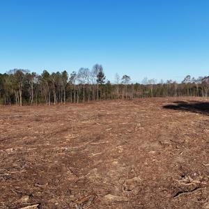 dji_fly_20251114_083704_0001_17631276320