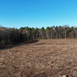 dji_fly_20251114_083708_0002_17631276303