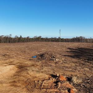 dji_fly_20251114_083724_0003_17631276286