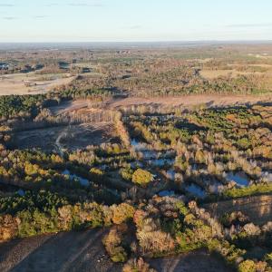 dji_fly_20251114_073438_0965_17631277400