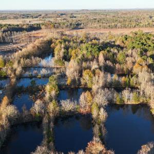 dji_fly_20251114_074154_0977_17631277012