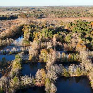 dji_fly_20251114_074206_0978_17631277008