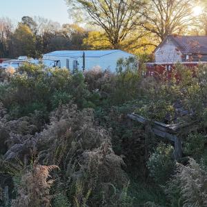 dji_fly_20251114_074304_0979_17631277004