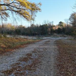 dji_fly_20251114_074412_0982_17631276991