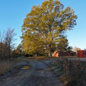 dji_fly_20251114_074444_0984_17631276984