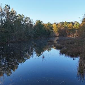 dji_fly_20251114_074524_0985_17631276981