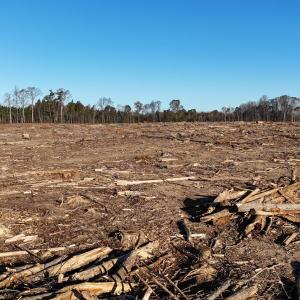 dji_fly_20251114_083224_0988_17631276619