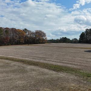 dji_fly_20251122_130124_0069_17638345252