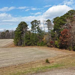 dji_fly_20251122_125918_0061_17638345384