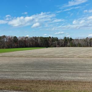 dji_fly_20251122_125932_0063_17638345383