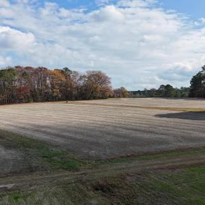 dji_fly_20251122_130142_0070_17638345252