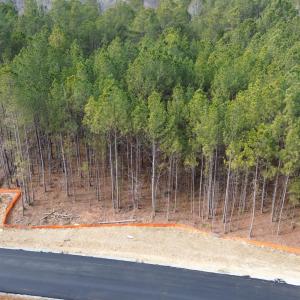 DJI_0050