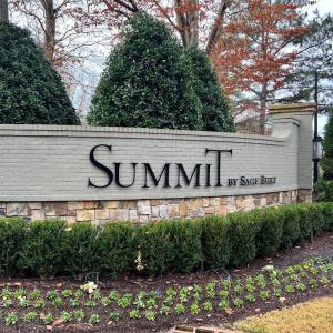 Summit entry email pic