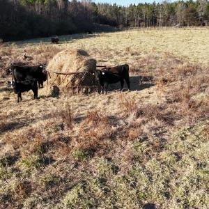 DJI_20251214162235_0008_D