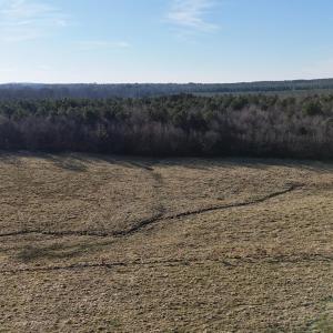 DJI_20251214162400_0014_D