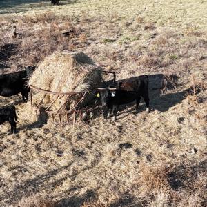 DJI_20251214162249_0009_D