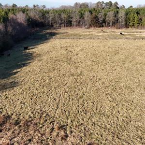 DJI_20251214162305_0010_D