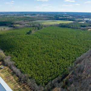 04-004-WillBrownRd-Chatham-Parcel-997-63