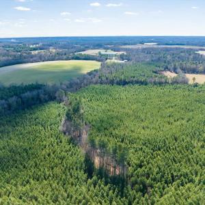 06-006-WillBrownRd-Chatham-Parcel-997-63