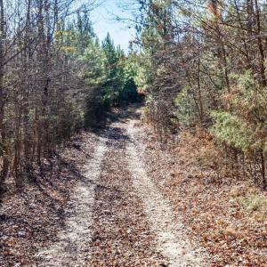 23-023-WillBrownRd-Chatham-Parcel-997-63