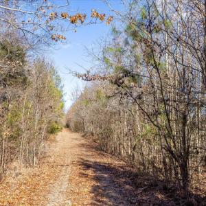 25-025-WillBrownRd-Chatham-Parcel-997-63