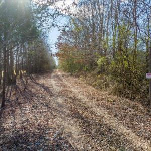 26-026-WillBrownRd-Chatham-Parcel-997-63