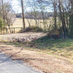 28-028-WillBrownRd-Chatham-Parcel-997-63