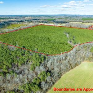 01-001-WillBrownRd-Chatham-Parcel-997-63