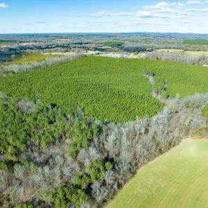 02-002-WillBrownRd-Chatham-Parcel-997