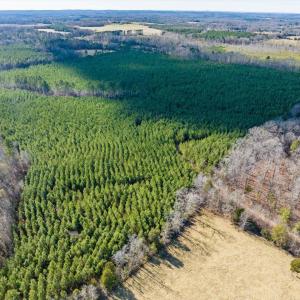 03-003-WillBrownRd-Chatham-Parcel-997-63