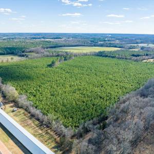 05-005-WillBrownRd-Chatham-Parcel-997-63