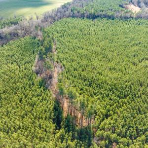 07-007-WillBrownRd-Chatham-Parcel-997-63