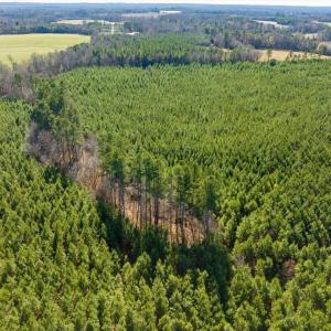 08-008-WillBrownRd-Chatham-Parcel-997-63