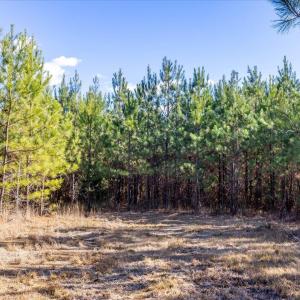 14-014-WillBrownRd-Chatham-Parcel-997-63