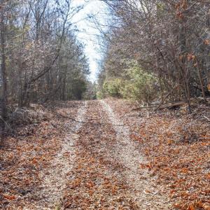 24-024-WillBrownRd-Chatham-Parcel-997-63