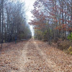 27-027-WillBrownRd-Chatham-Parcel-997-63