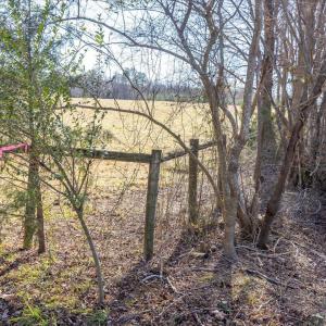 30-030-WillBrownRd-Chatham-Parcel-997-63