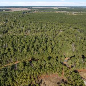 2-web-or-mls-DJI_0808