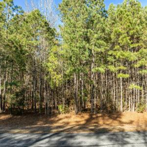 3-web-or-mls-DJI_0820