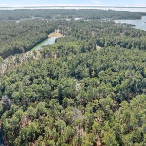 5-web-or-mls-DJI_0811