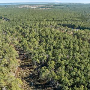 7-web-or-mls-DJI_0813